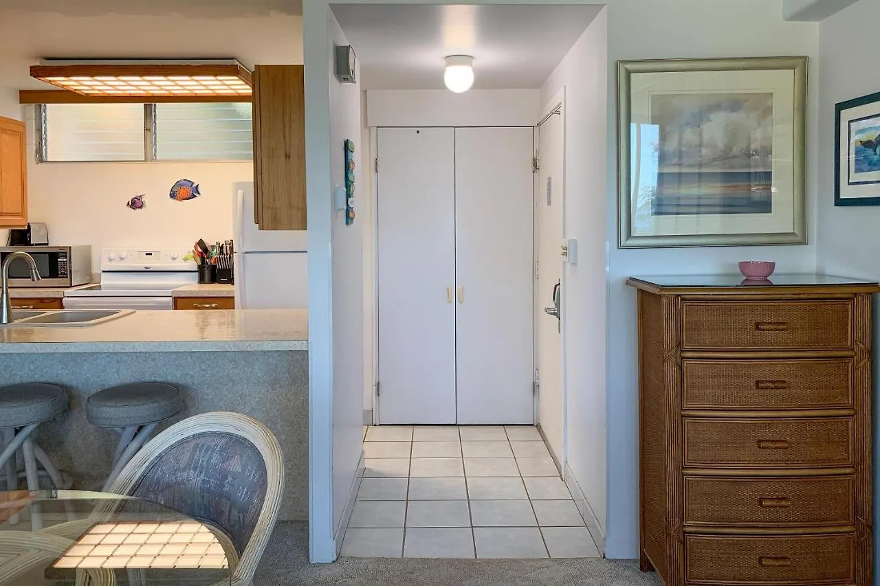 Holiday home Haleakala Shores A-301, Panoramic Views, Split Ac Wailea  United States