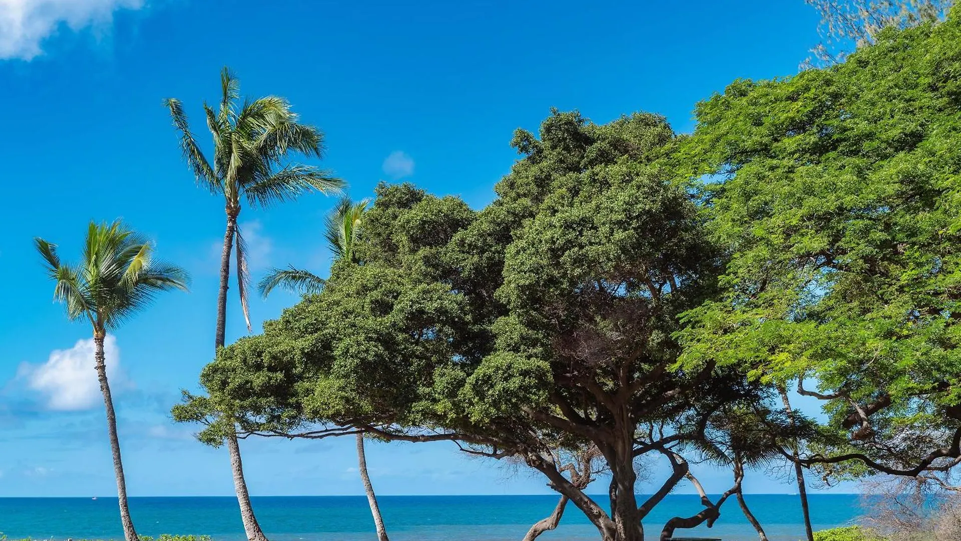 Haleakala Shores A-301, Panoramic Views, Split Ac Wailea  Holiday home