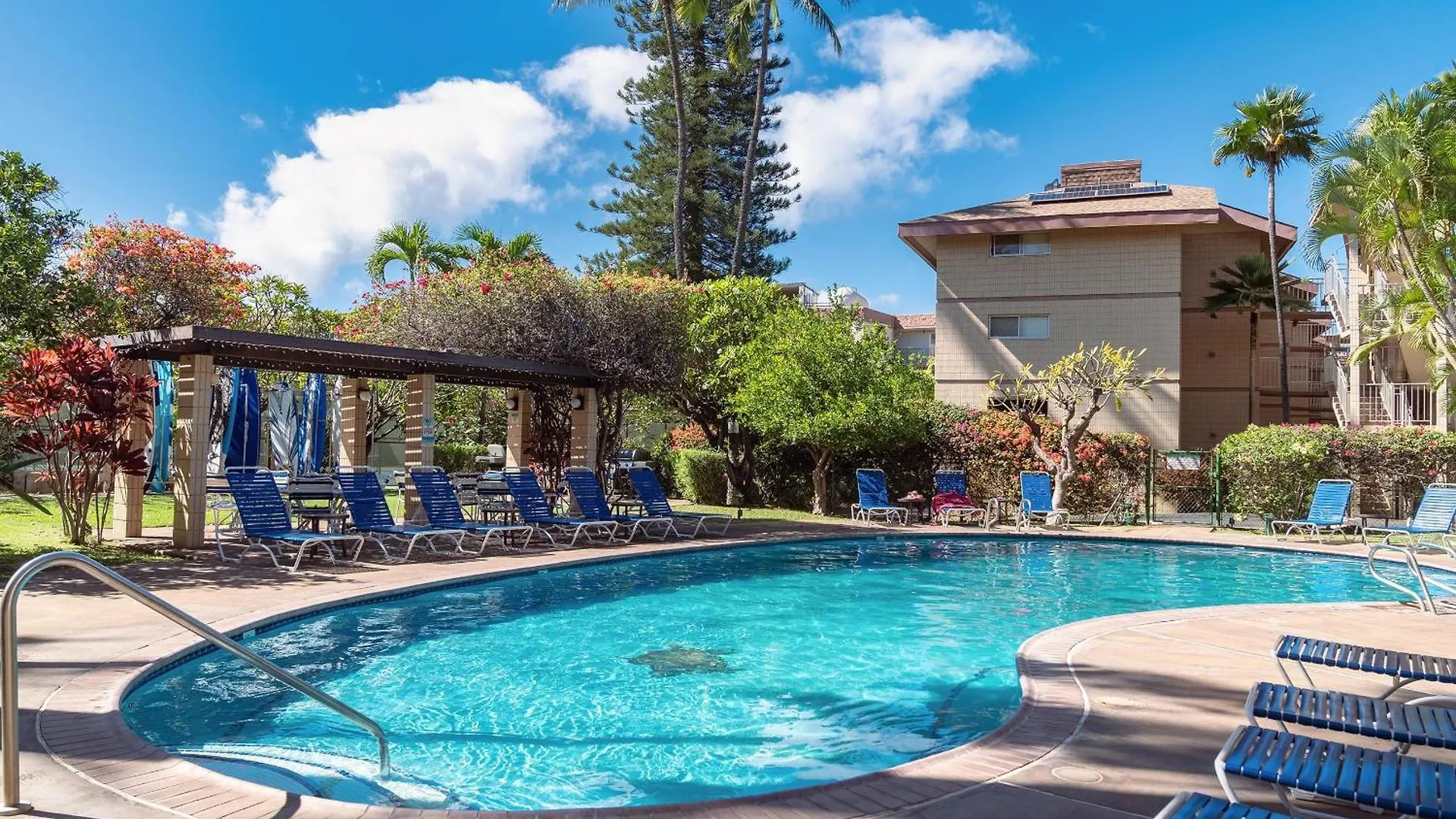 Haleakala Shores A-301, Panoramic Views, Split Ac Wailea  0*, Wailea (Maui)