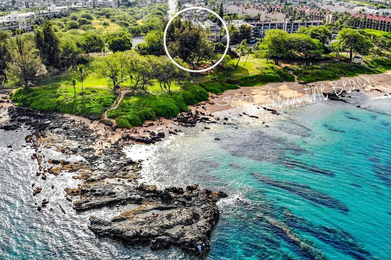 Haleakala Shores A-301, Panoramic Views, Split Ac Wailea